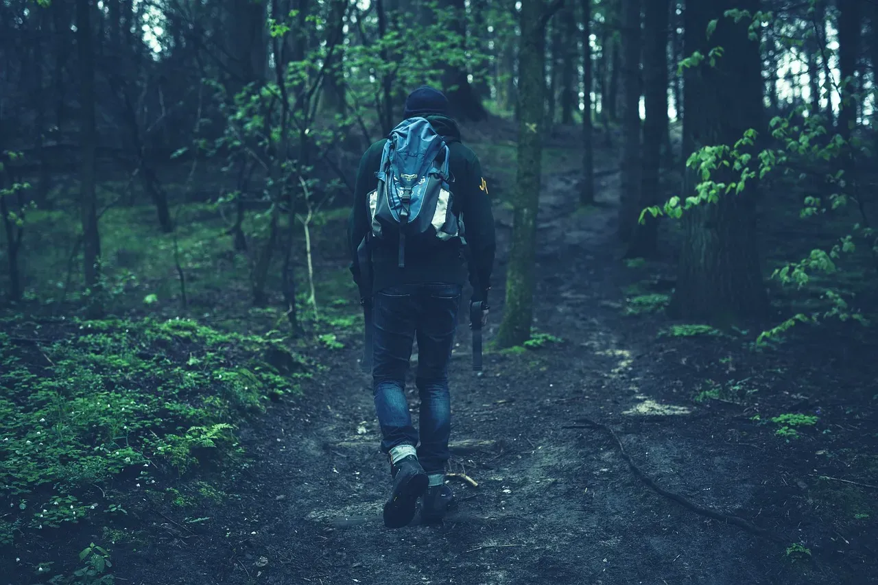 How Much Walking Is Actually Needed (Image Credits: Pixabay)