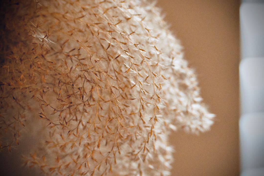 Rice Bran Oil: The Asian Import That Imports Inflammation (image credits: unsplash)