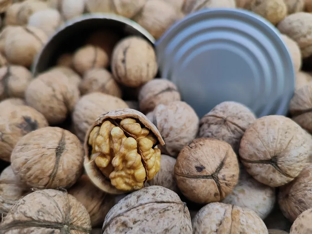 A Small Habit With a Meaningful Return (Image Credits: Unsplash)