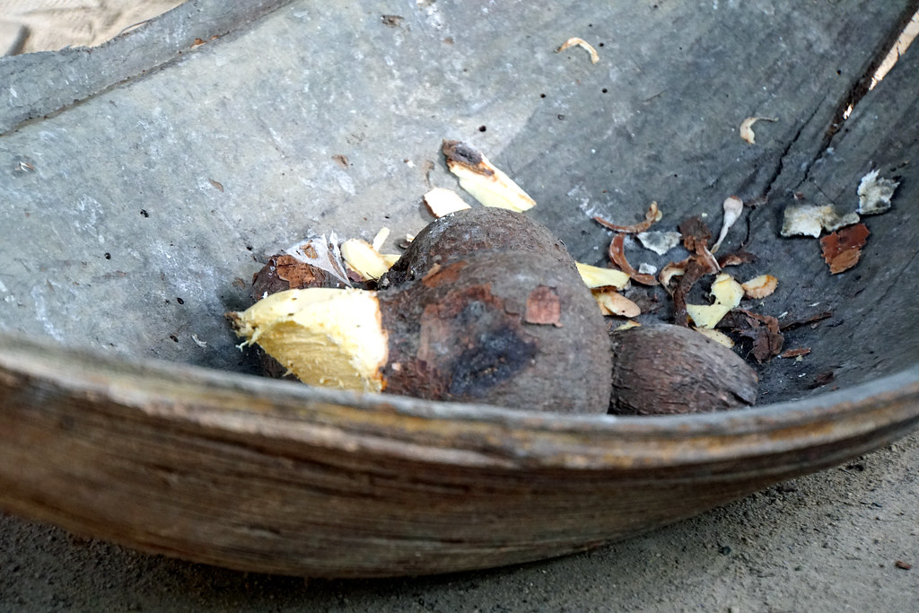 The Cassava Conspiracy Hidden in Plain Sight (image credits: flickr)