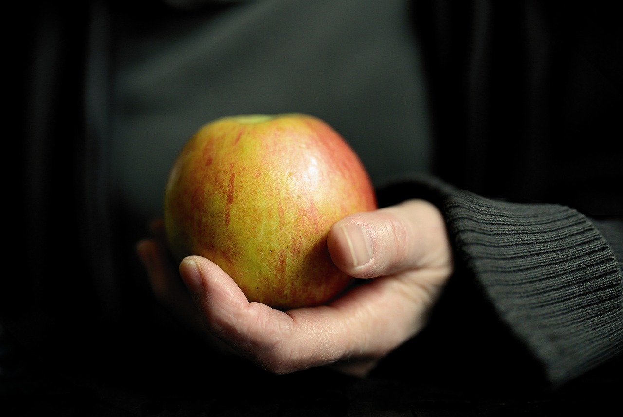 The Connection Between Diet and Longevity (image credits: pixabay)