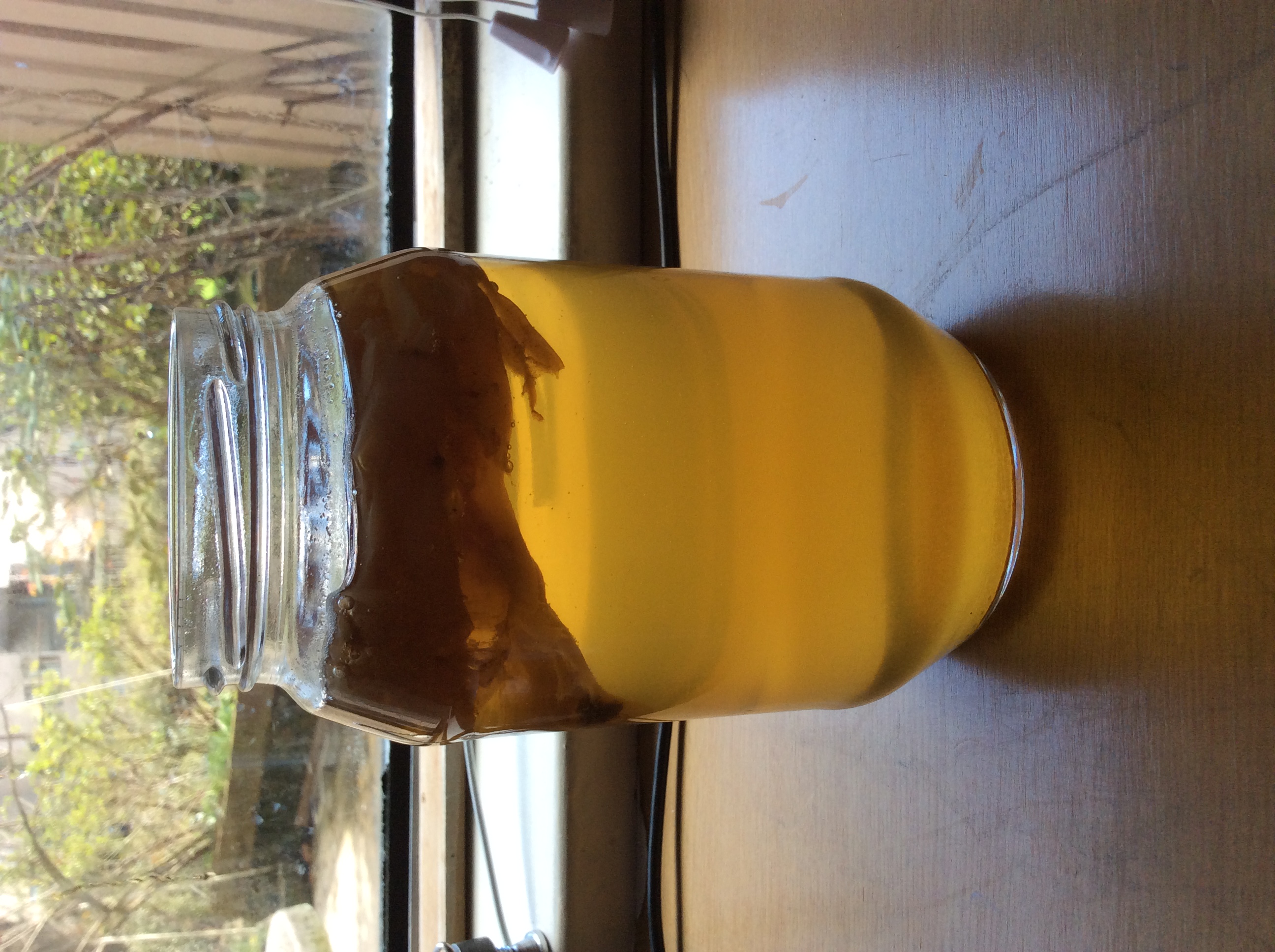 Ancient China's Bubbly Health Elixir (image credits: wikimedia)