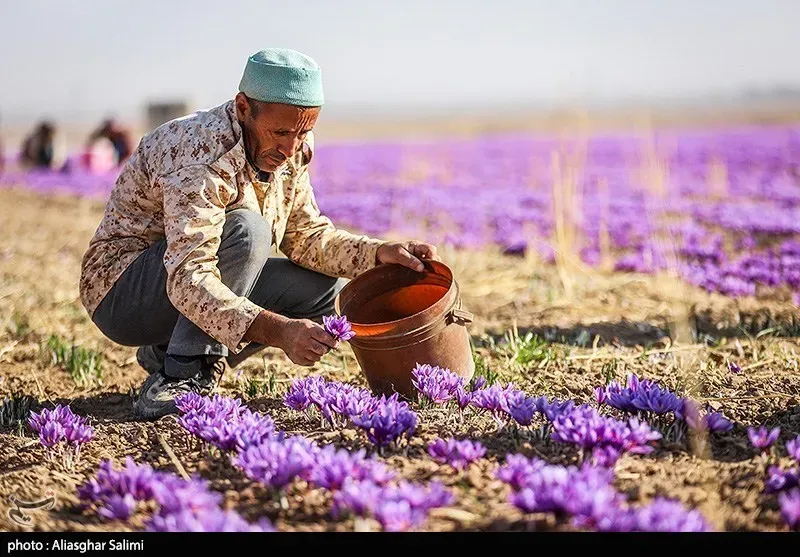 Conclusion: The Price Makes Sense - Even If It Stings (Direct: https://newsmedia.tasnimnews.ir/Tasnim/Uploaded/Image/1404/08/12/1404081209310958834559064.jpg

Gallery: https://www.tasnimnews.ir/fa/media/1404/08/12/3438482, CC BY 4.0)