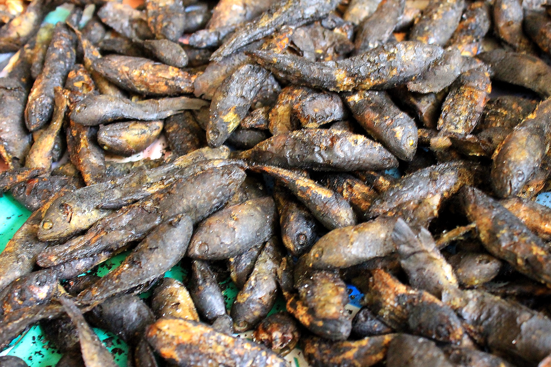 Conclusion: The Depth of Flavor in Smoking (image credits: wikimedia)