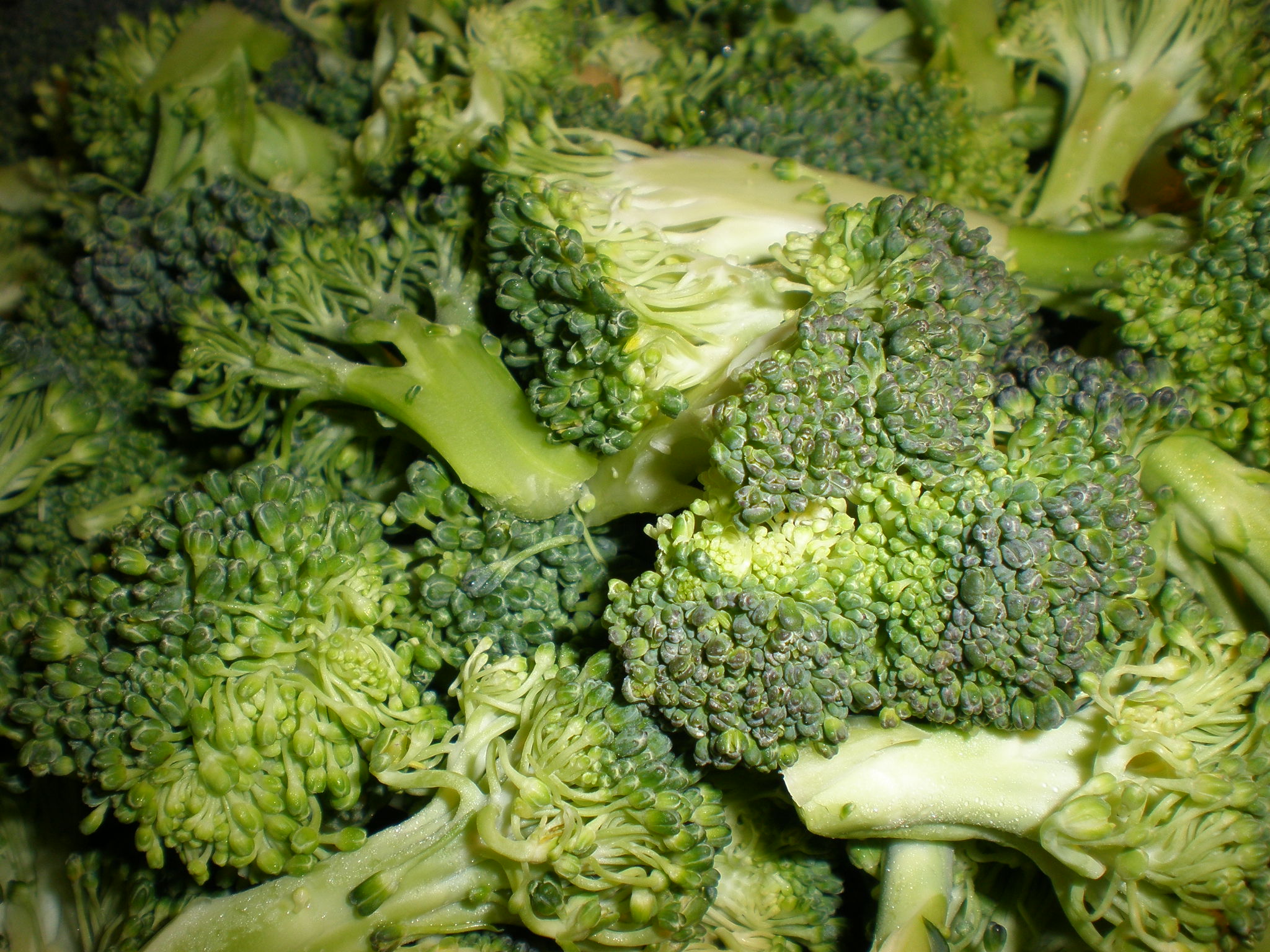 5. Broccoli: The Green Defender (image credits: wikimedia)