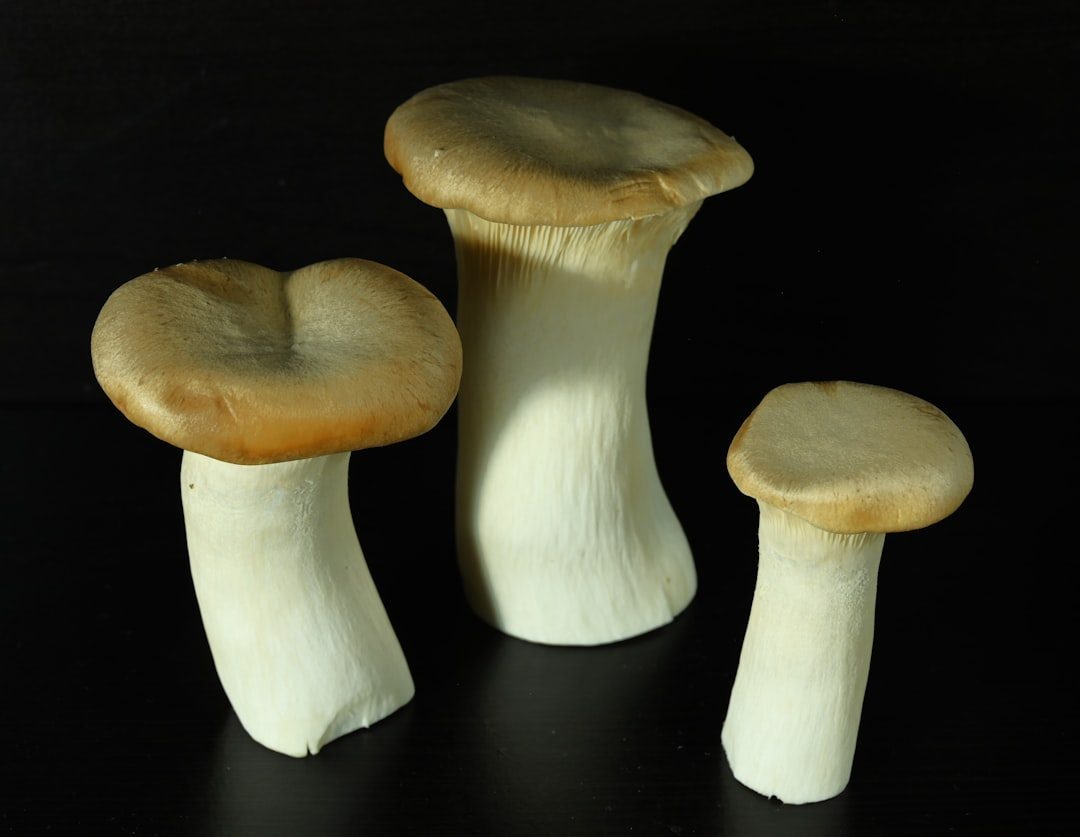 Functional Mushrooms Add Depth and Nutrition (Image Credits: Unsplash)