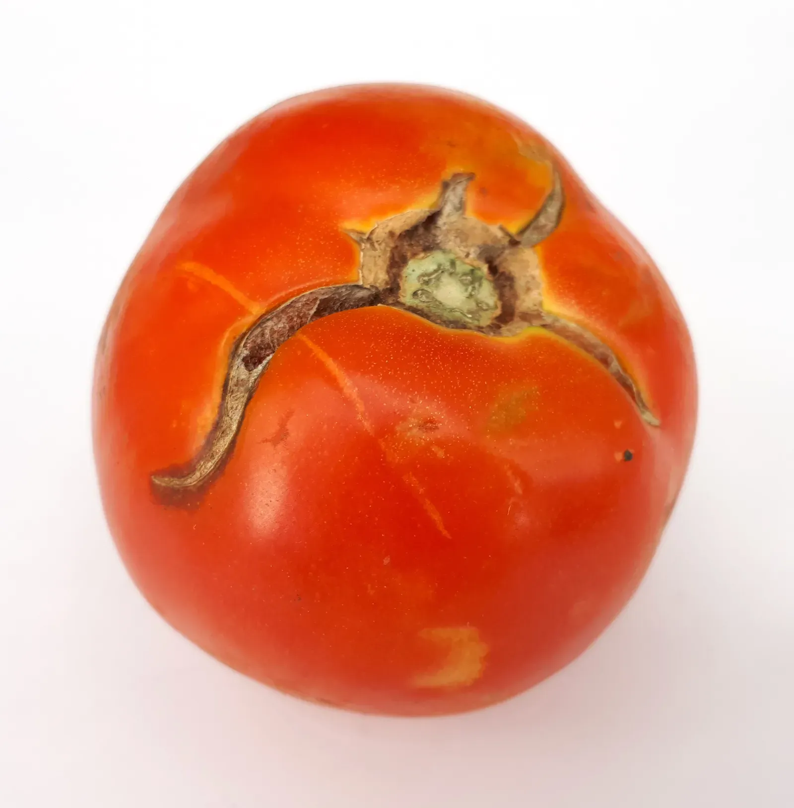 The Imperfection Problem: Cracks, Splits, and Short Shelf Life (Image Credits: Wikimedia)