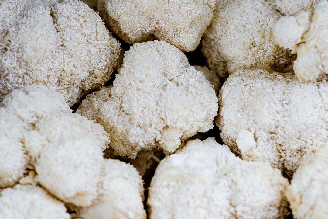 Lion's Mane - The Brain's Best Friend (image credits: unsplash)