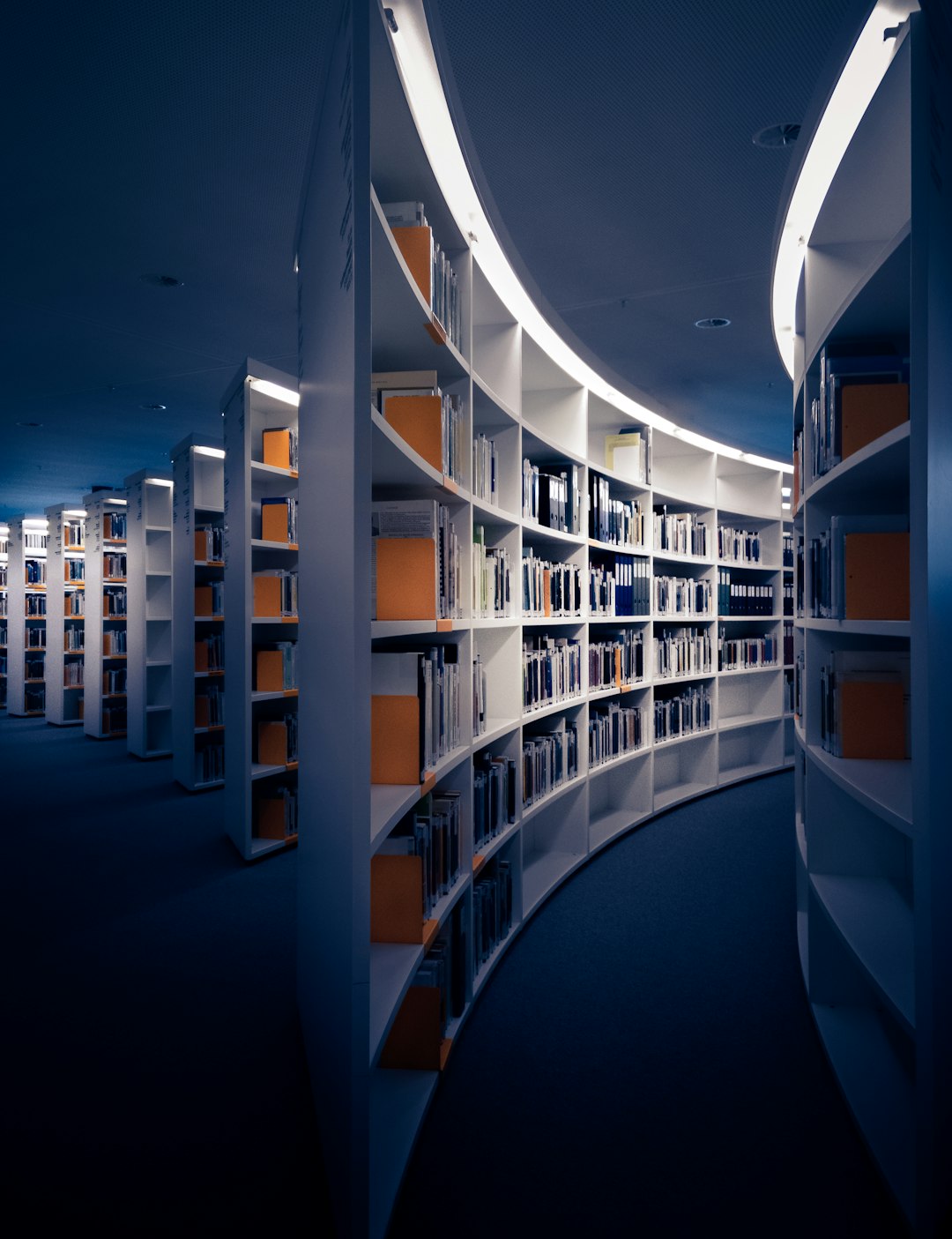 Sources and References (image credits: unsplash)
