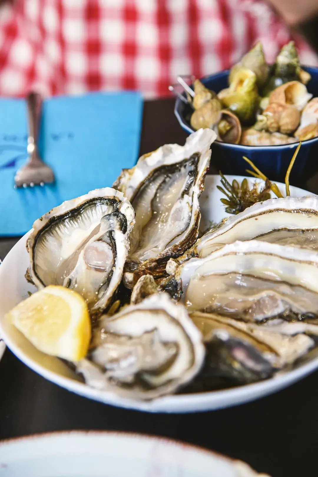 6. Mussels and Shellfish Platters (Image Credits: Unsplash)