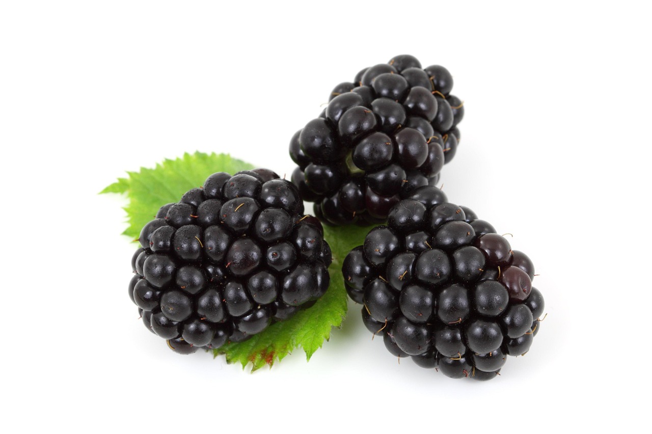 Blackberries: Fiber + Antioxidant Combo (image credits: pixabay)