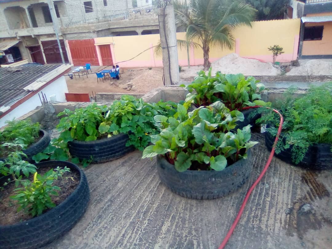 Urban Farming: A Growing Trend (image credits: wikimedia)