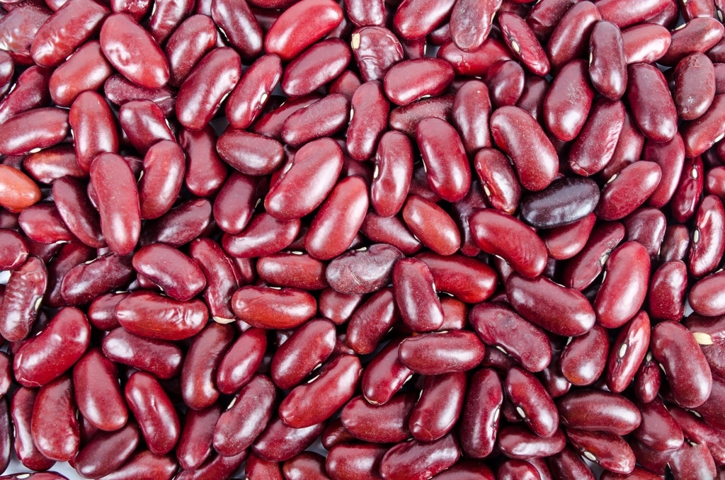Kidney Beans: The Classic Red Beauties (image credits: rawpixel)