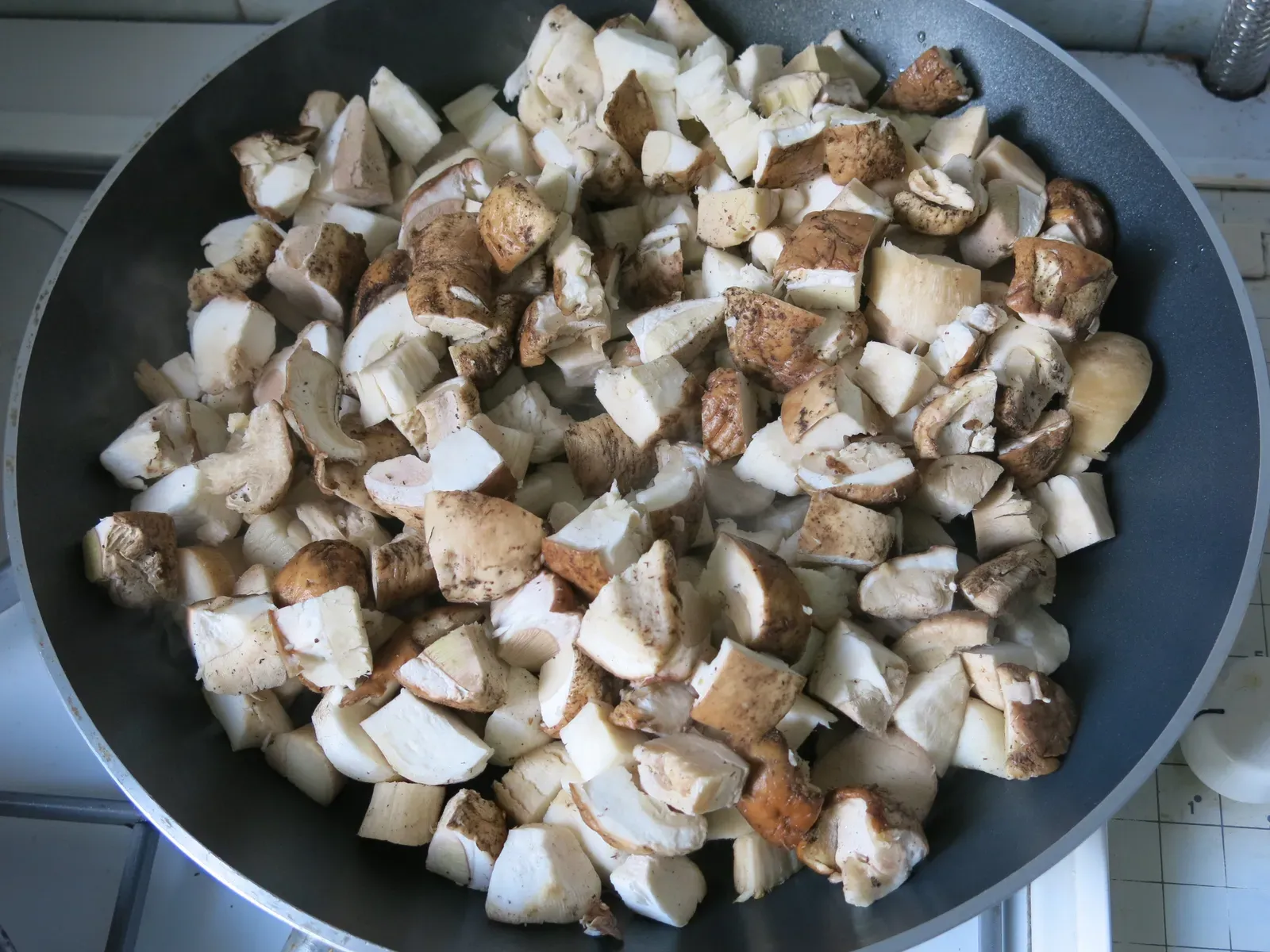 Mushrooms: Delicate Proteins Gone Wrong (Image Credits: Wikimedia)