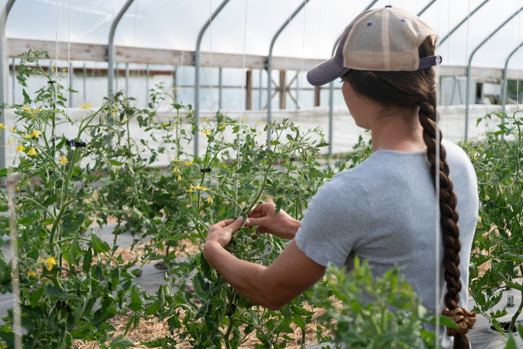 Join a Community Supported Agriculture (CSA) Program (image credits: rawpixel)