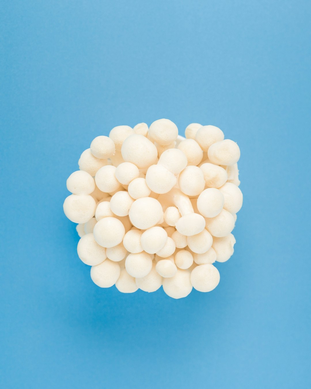 When Marshmallows Become Deadly (image credits: unsplash)