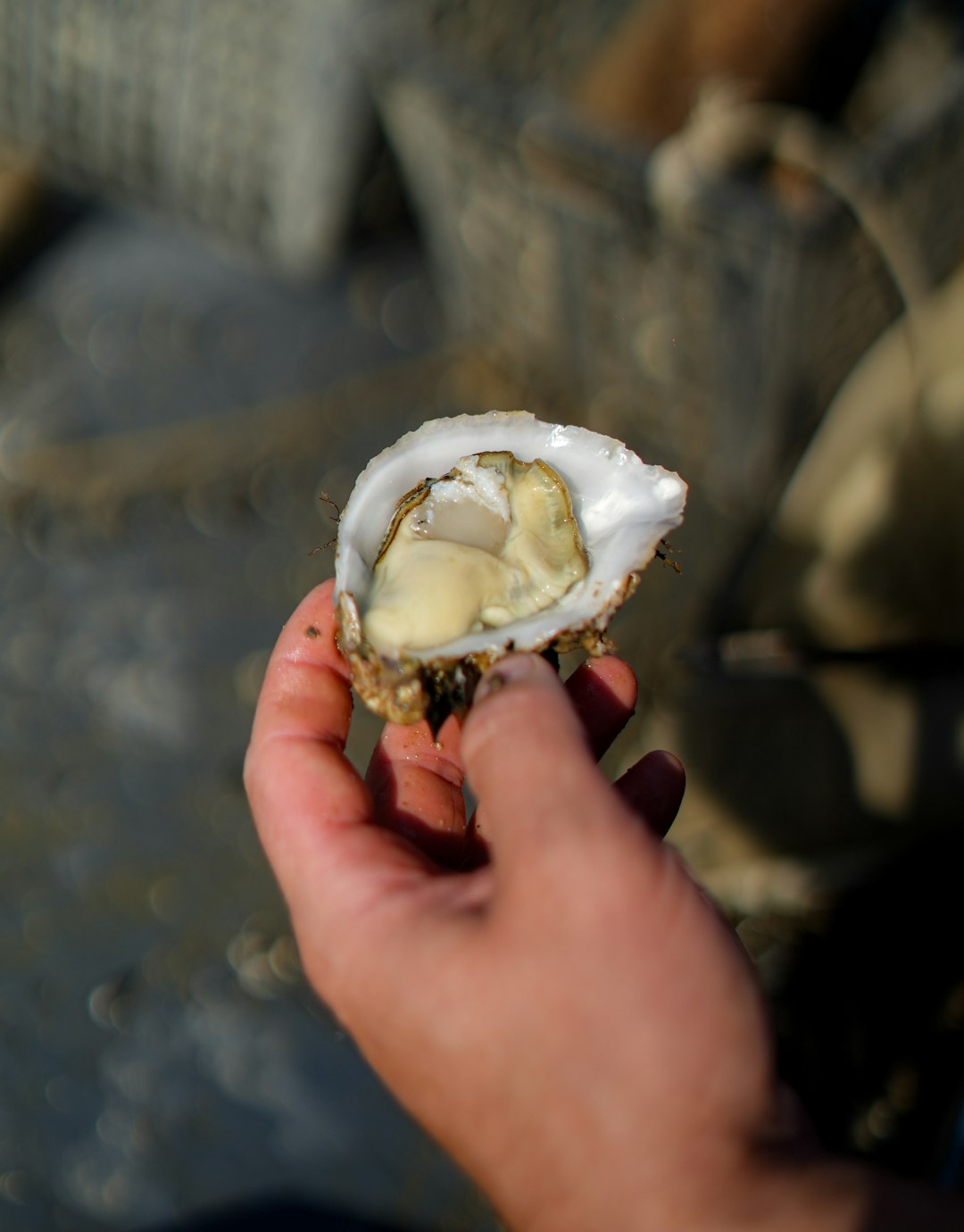 Prairie Oysters and Wild West Remedies (image credits: unsplash)