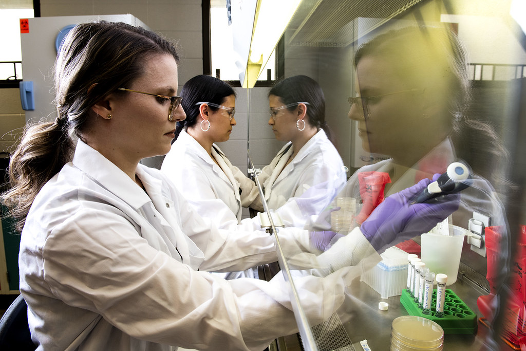 Recent Outbreak Connections You Should Know About (image credits: flickr)