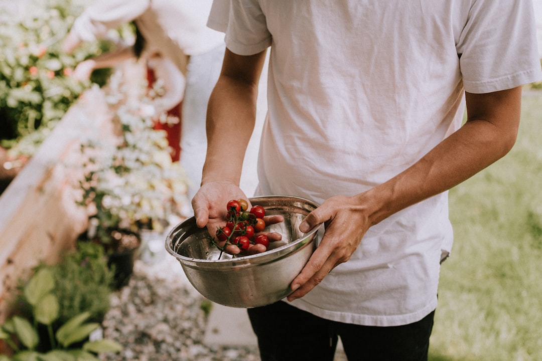 Start with Fresh Ingredients (image credits: unsplash)