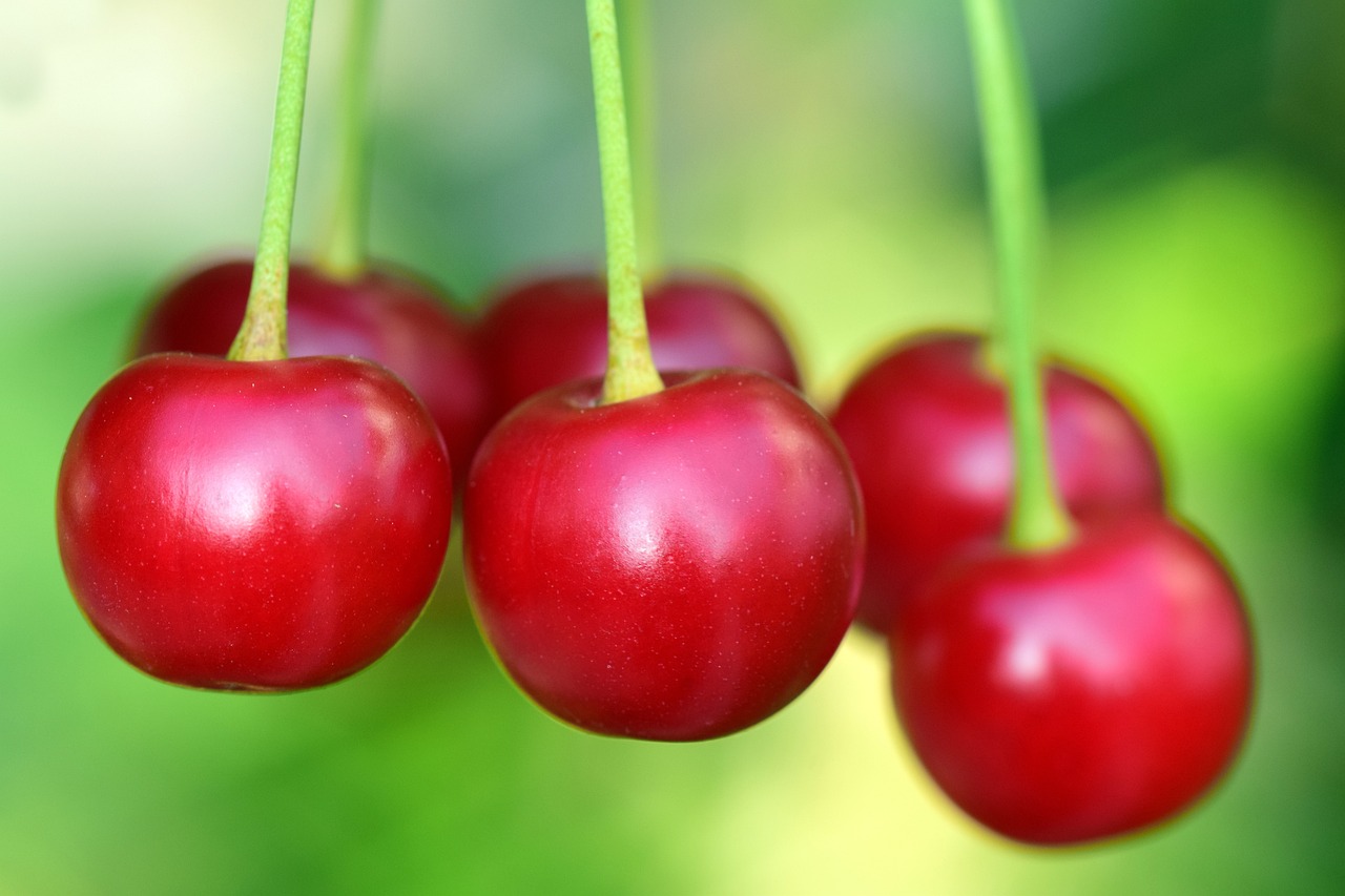 Cherries (Anti-Inflammatory) 🍒 (image credits: pixabay)