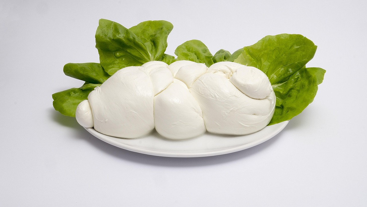 Buffalo Mozzarella: A Creamy Extravagance (image credits: pixabay)