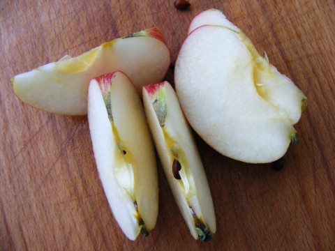 Apple Slices with Peanut Butter: Classic Comfort (image credits: Cut-apple-slices_21575-480x360, CC BY 2.0, https://commons.wikimedia.org/w/index.php?curid=38382946)