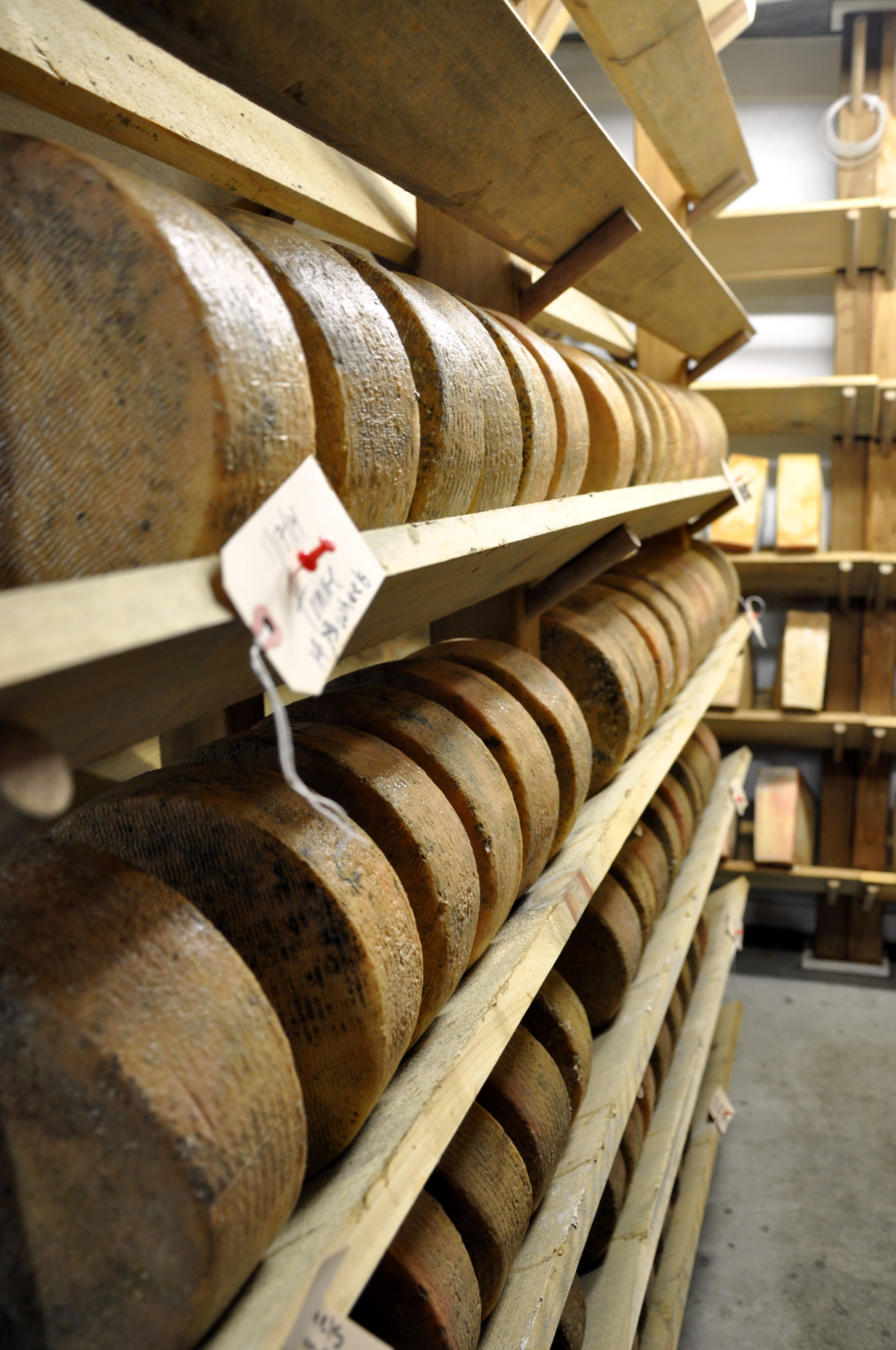 The Role of Terroir in Cheese Caves (image credits: wikimedia)