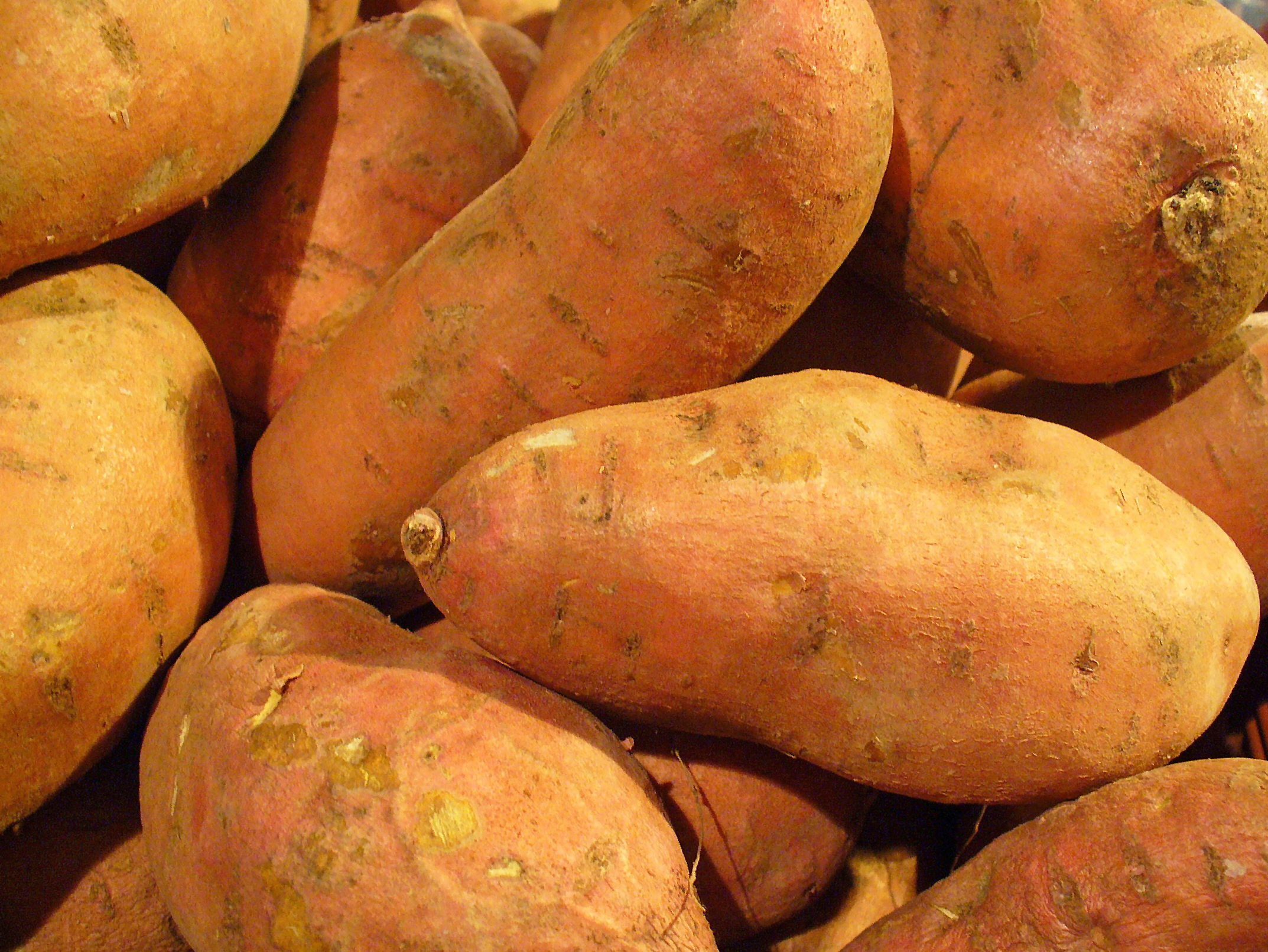 Sweet Potatoes - The Vitamin A Powerhouse (Image Credits: Wikimedia)