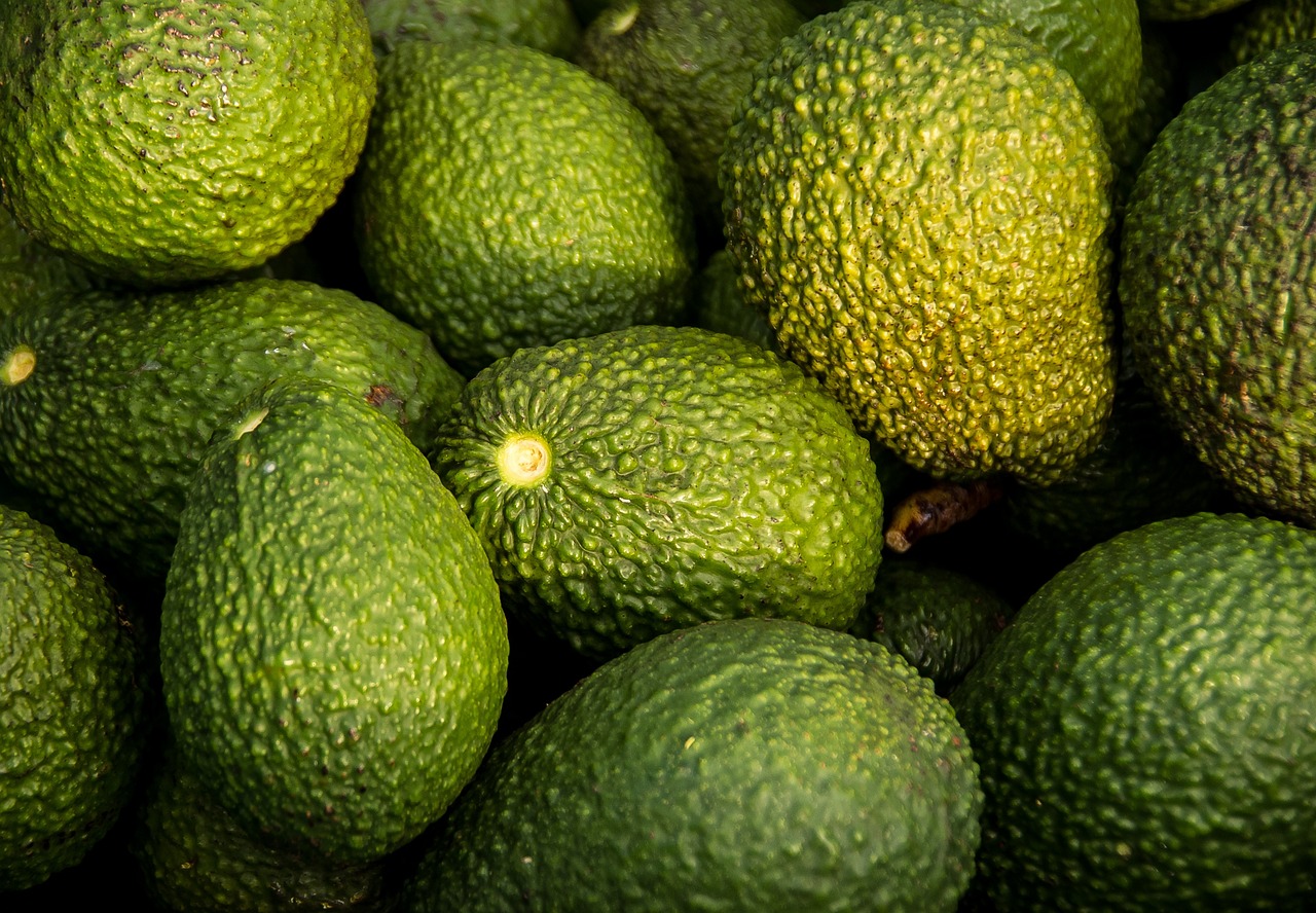 Avocado: Creamy and Nutrient-Dense (image credits: pixabay)