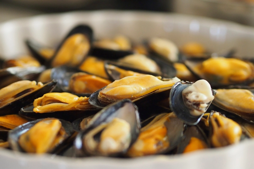 Mussels - The Ultimate Nutrient-Dense Shellfish (image credits: rawpixel)
