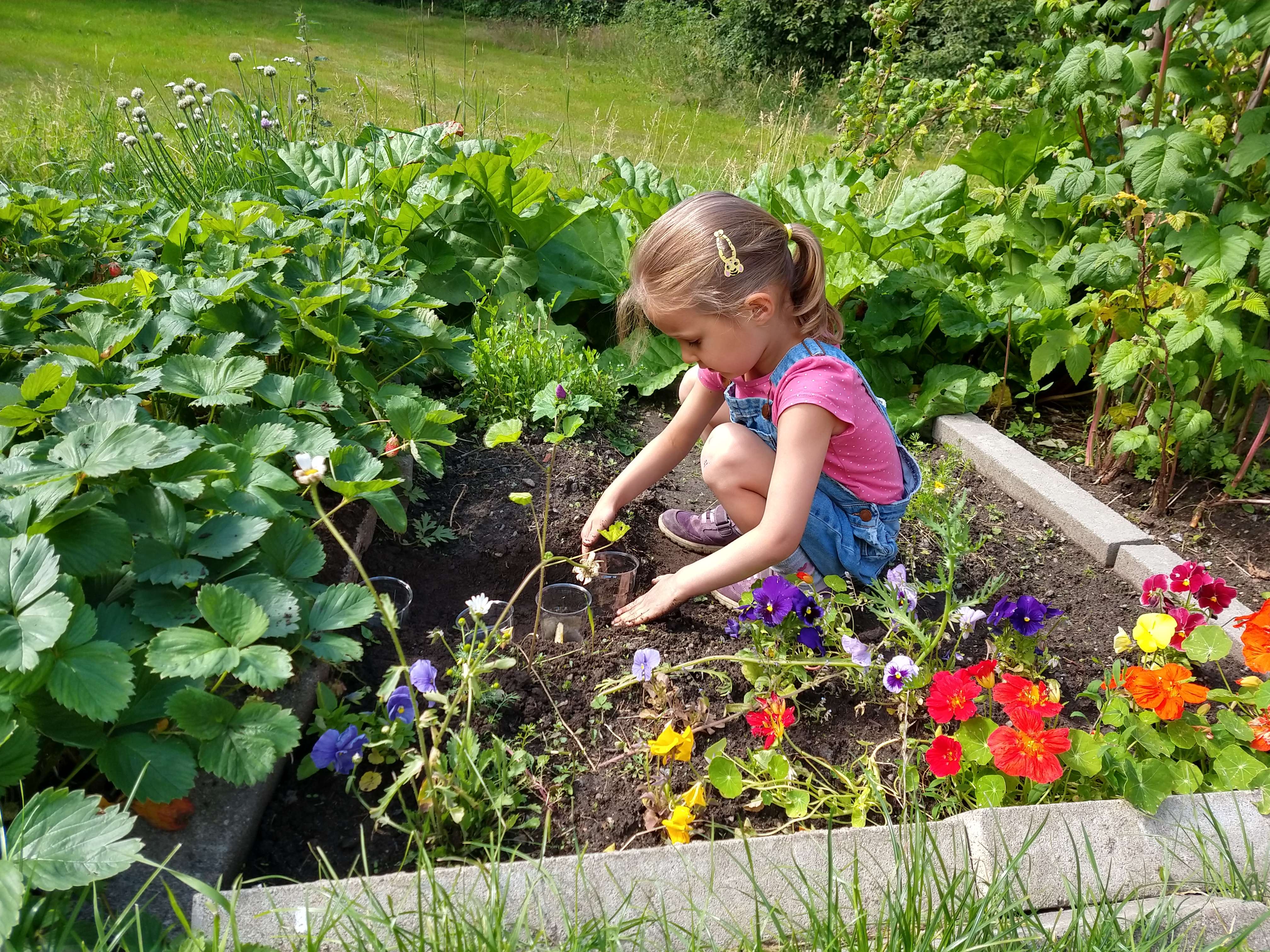 Growing Your Own Food (image credits: wikimedia)