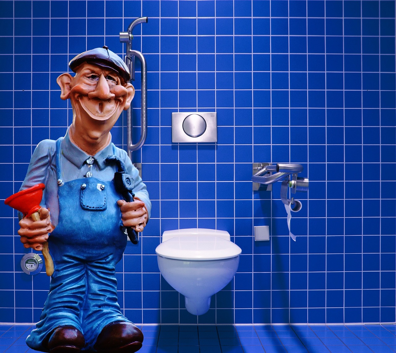 Digestive Issues and Constipation (image credits: pixabay)
