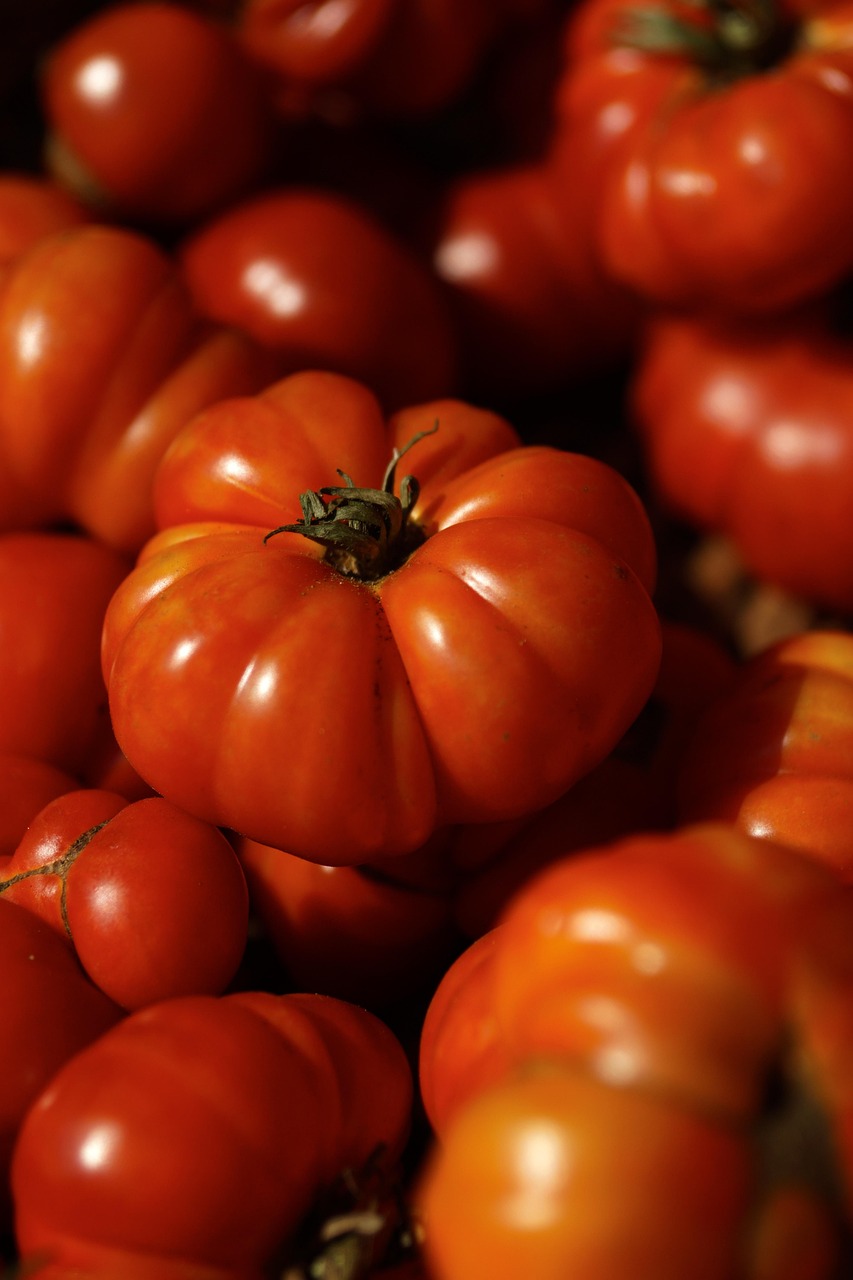 The Mission to Resurrect Culinary History (image credits: pixabay)