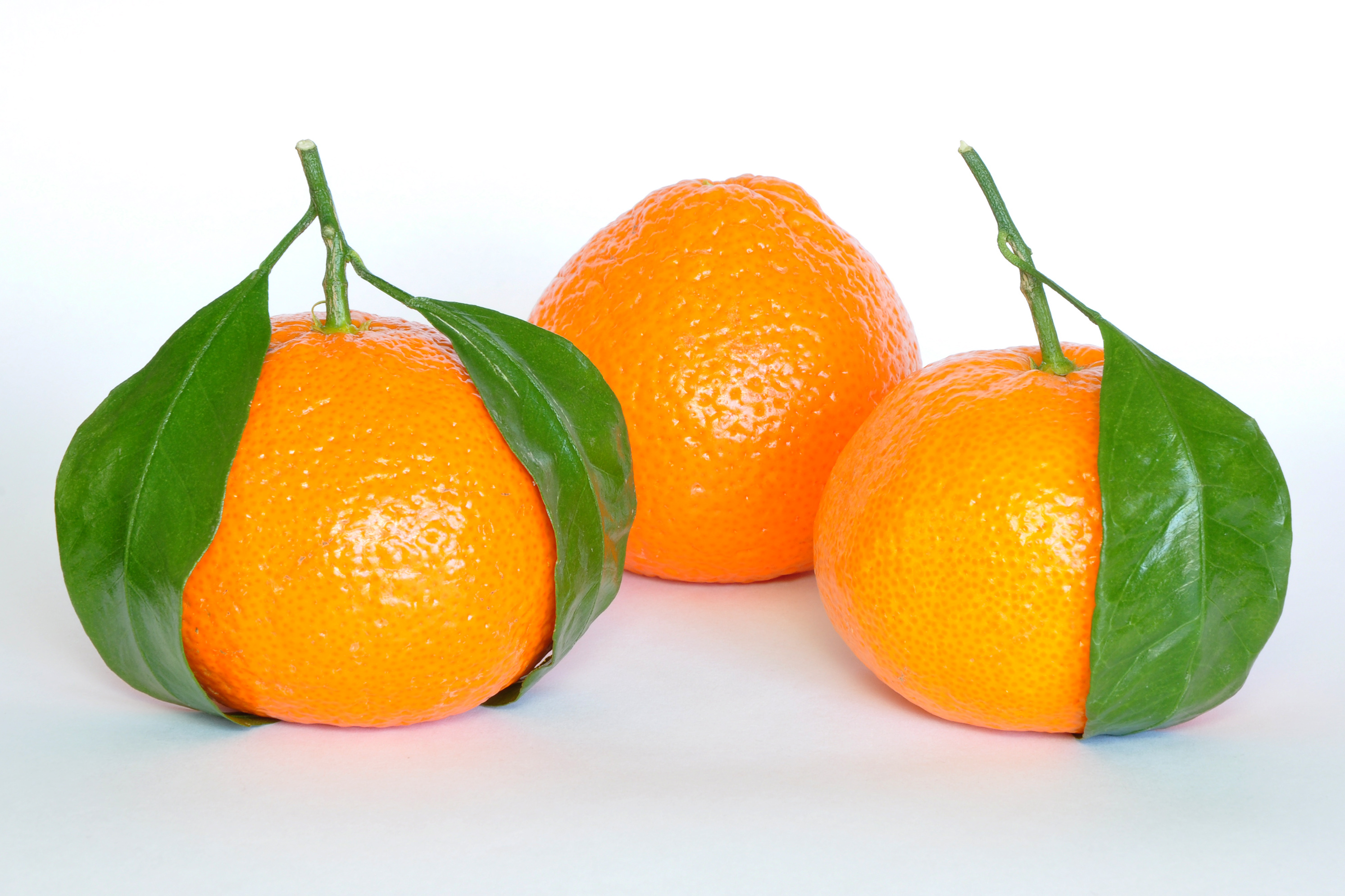 Oranges (image credits: wikimedia)