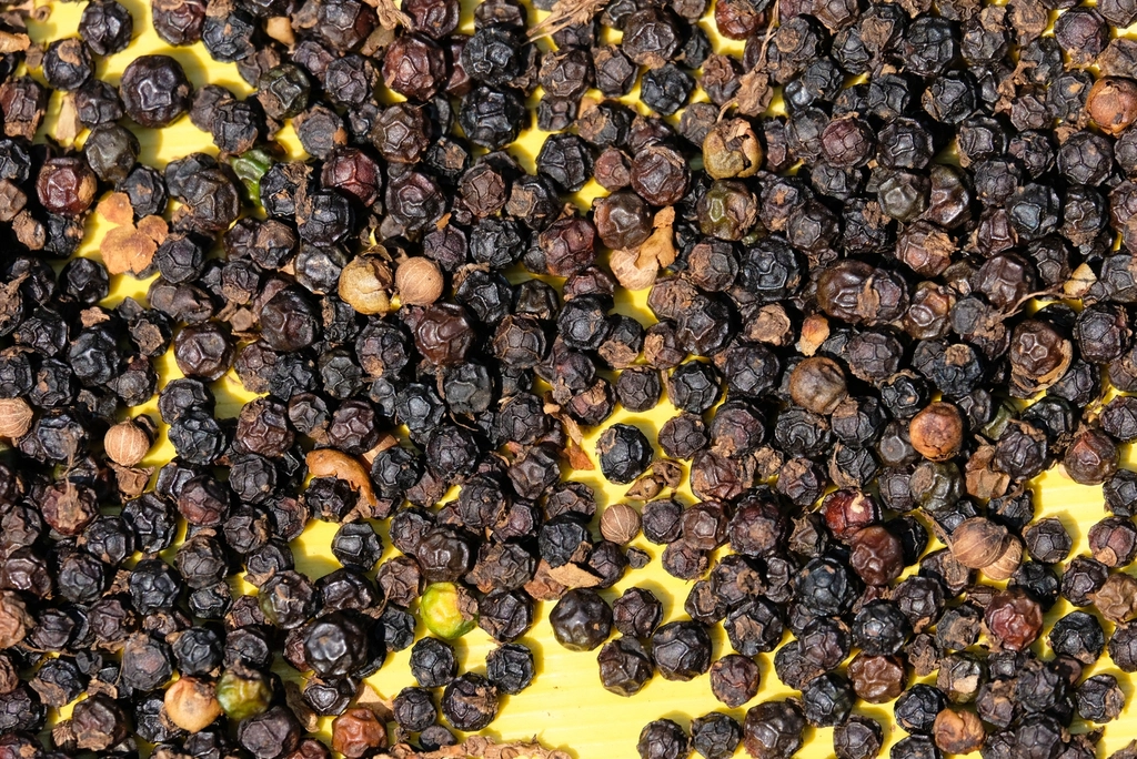 Black Pepper (Sharp & Earthy) (image credits: rawpixel)
