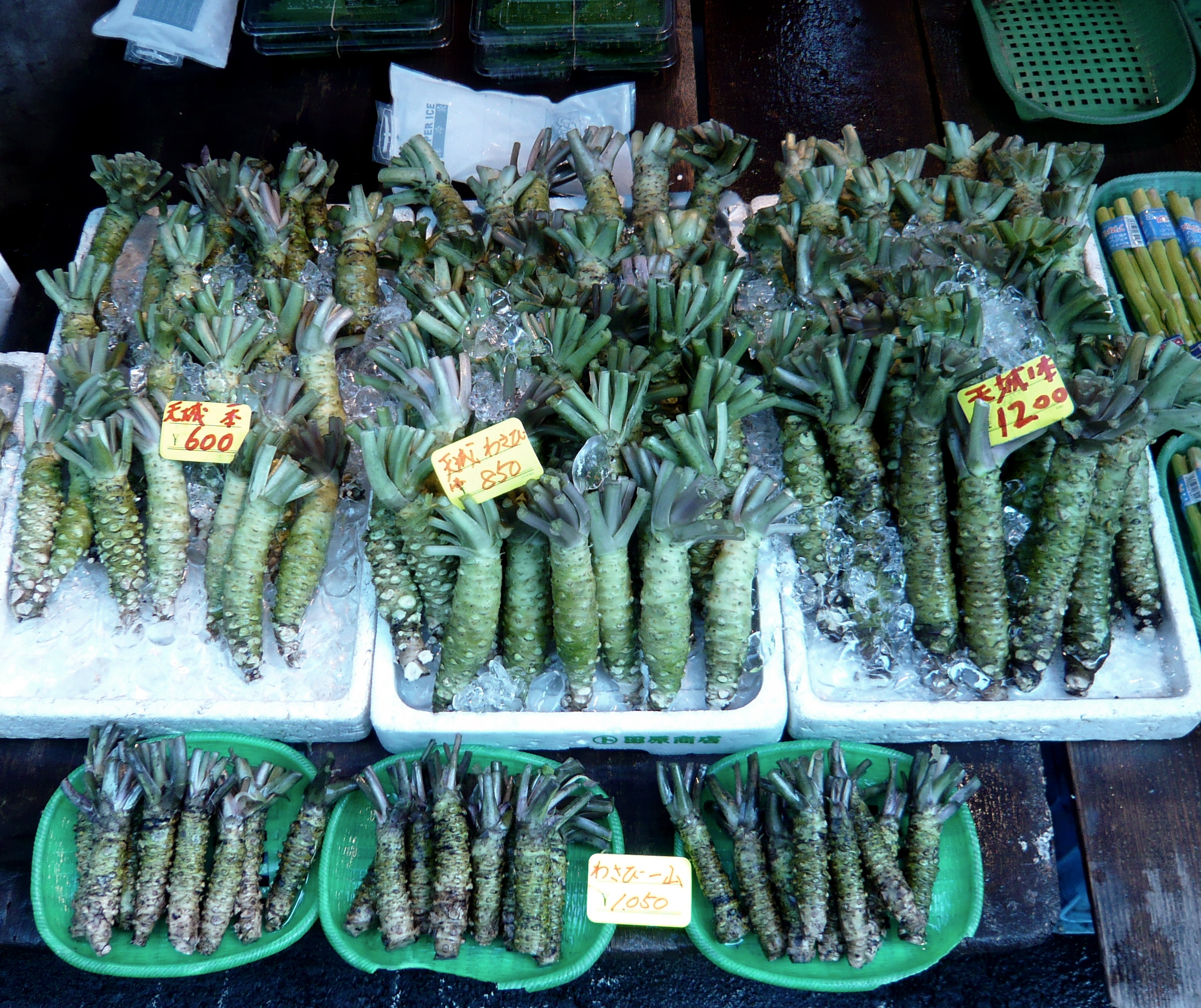 The Universal Appeal of Japanese Wasabi (image credits: wikimedia)