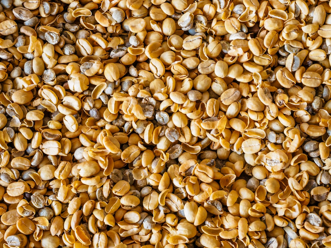 Hemp Seeds: Tiny Seeds, Mighty Nutrients (image credits: unsplash)