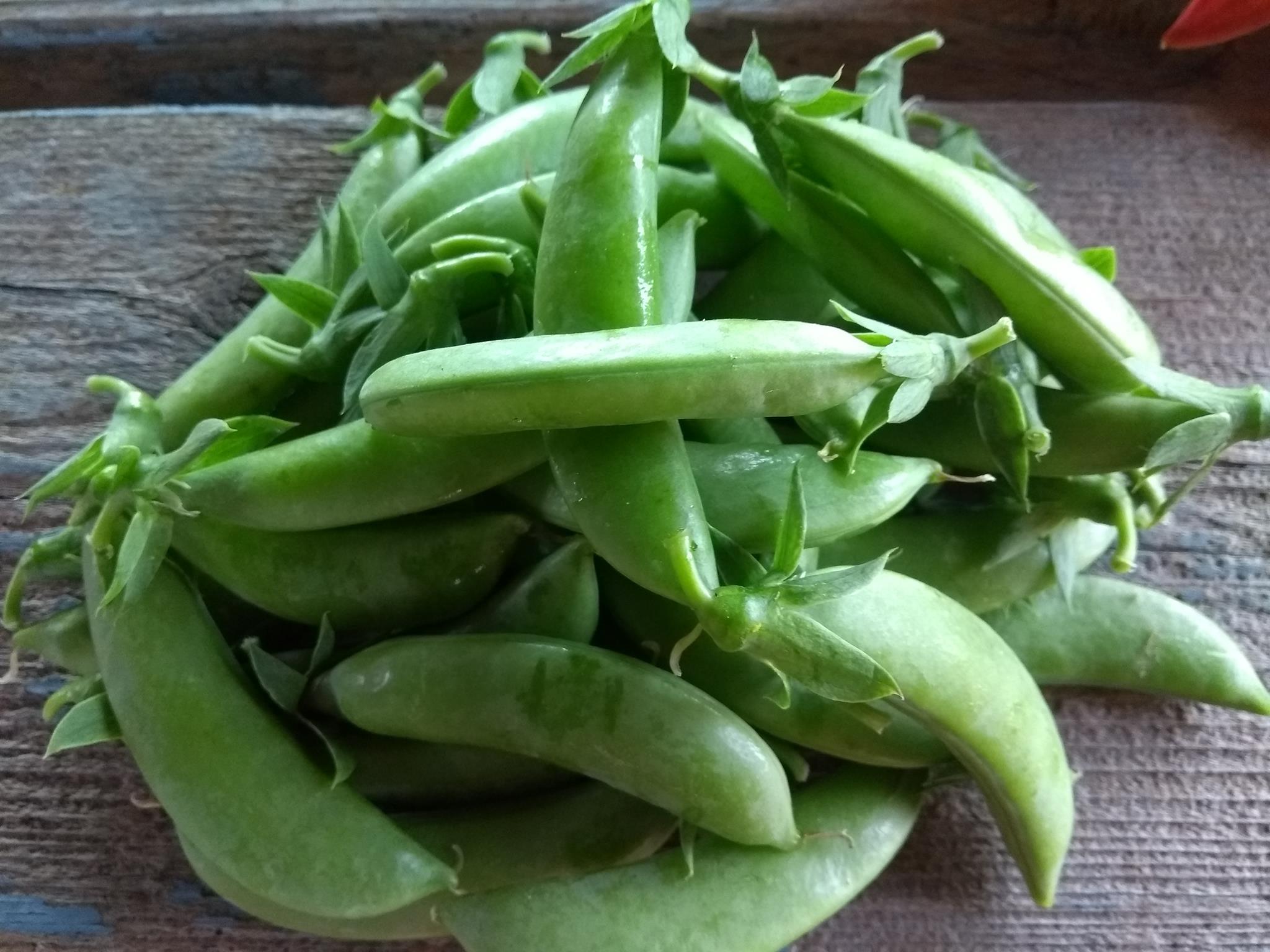 Peas: The Hidden Sugars (image credits: wikimedia)