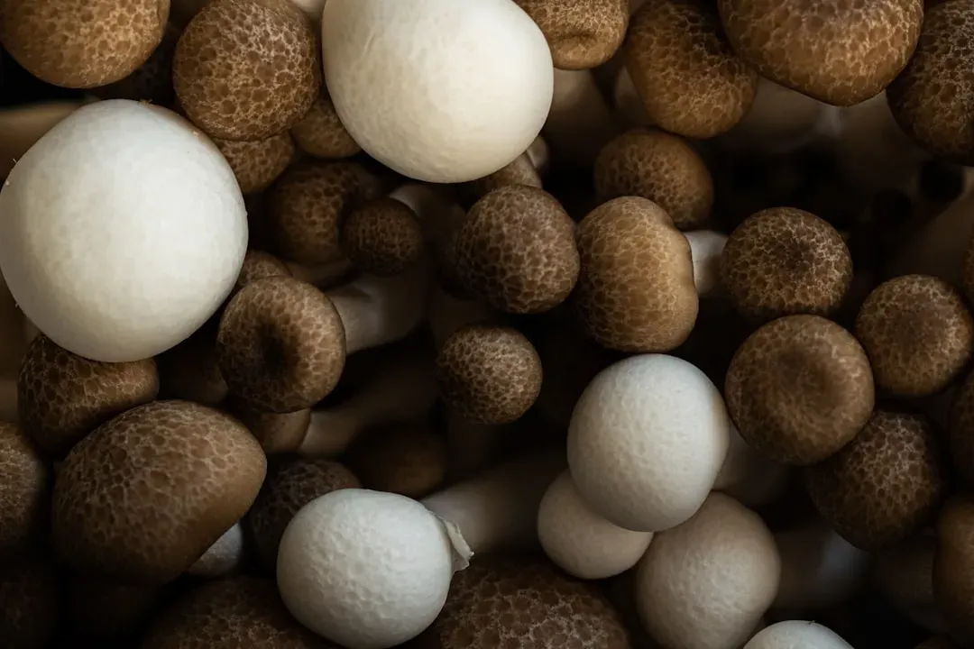 9. Fake Steam From Soaked Tampons and Cotton Balls (Image Credits: Unsplash)