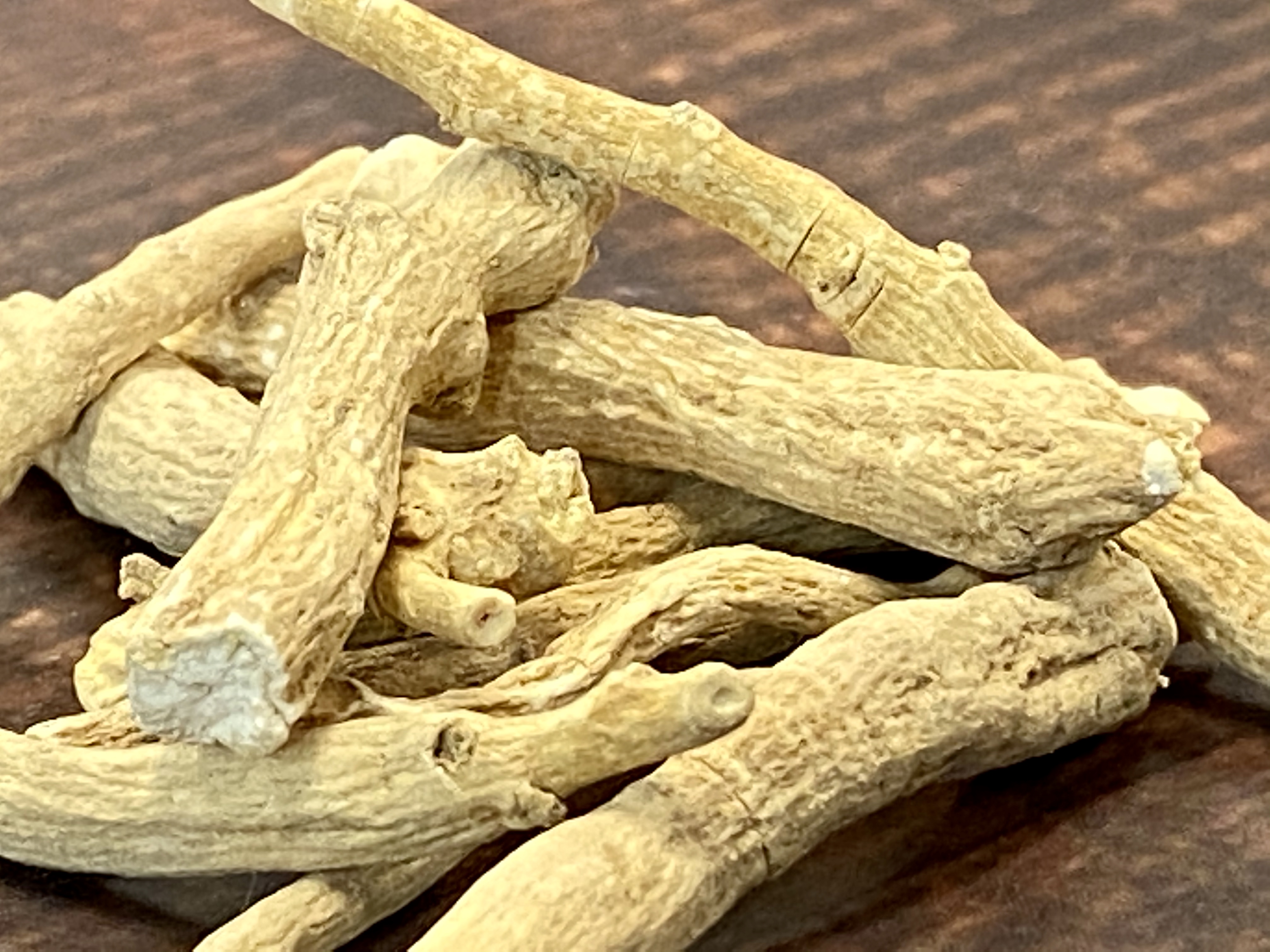 Medicinal Value and Ayurveda (image credits: wikimedia)