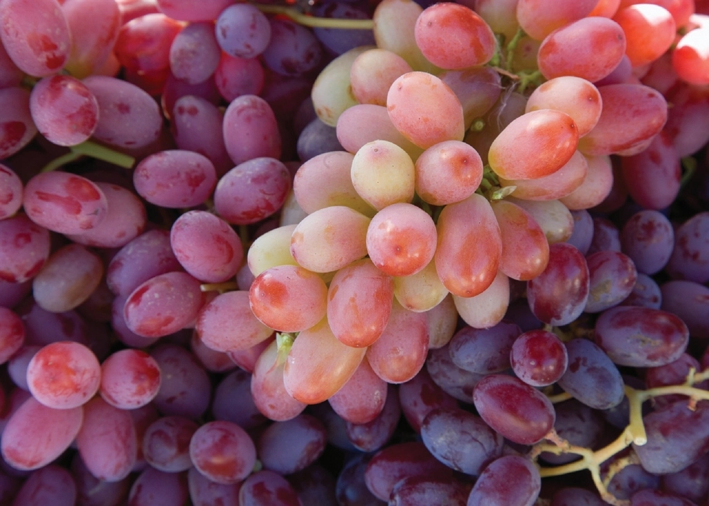 Grapes: Nature's Candy That Lives Up to Its Name (image credits: rawpixel)