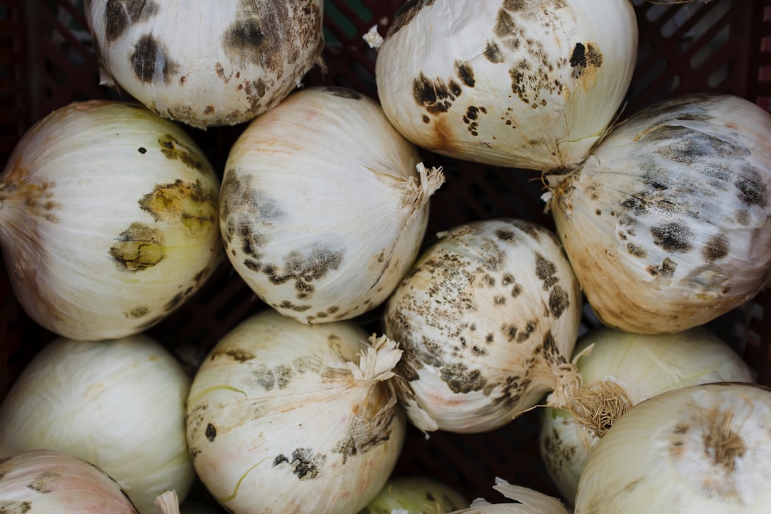 Blue Apron: Promising Freshness, Delivering Disappointment (image credits: unsplash)