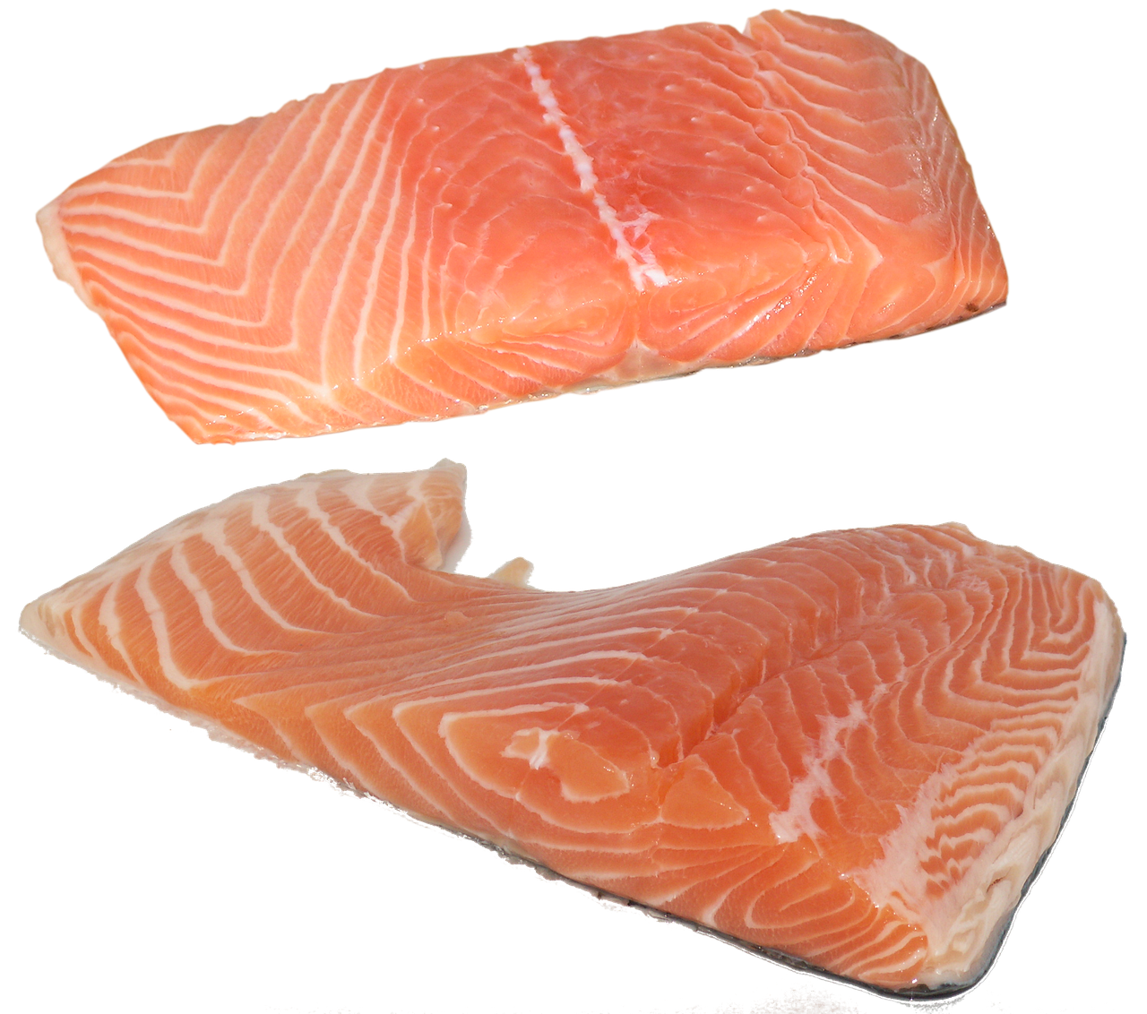 Salmon: The Omega-3 Powerhouse (image credits: pixabay)