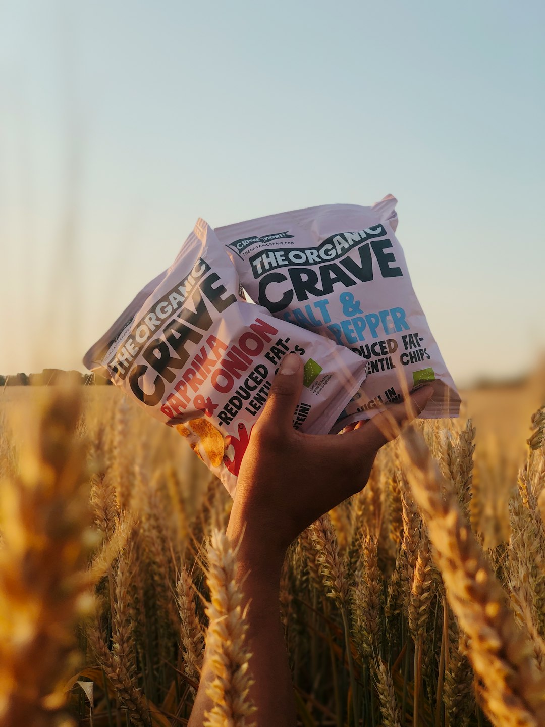 How to Make Better Choices (image credits: unsplash)