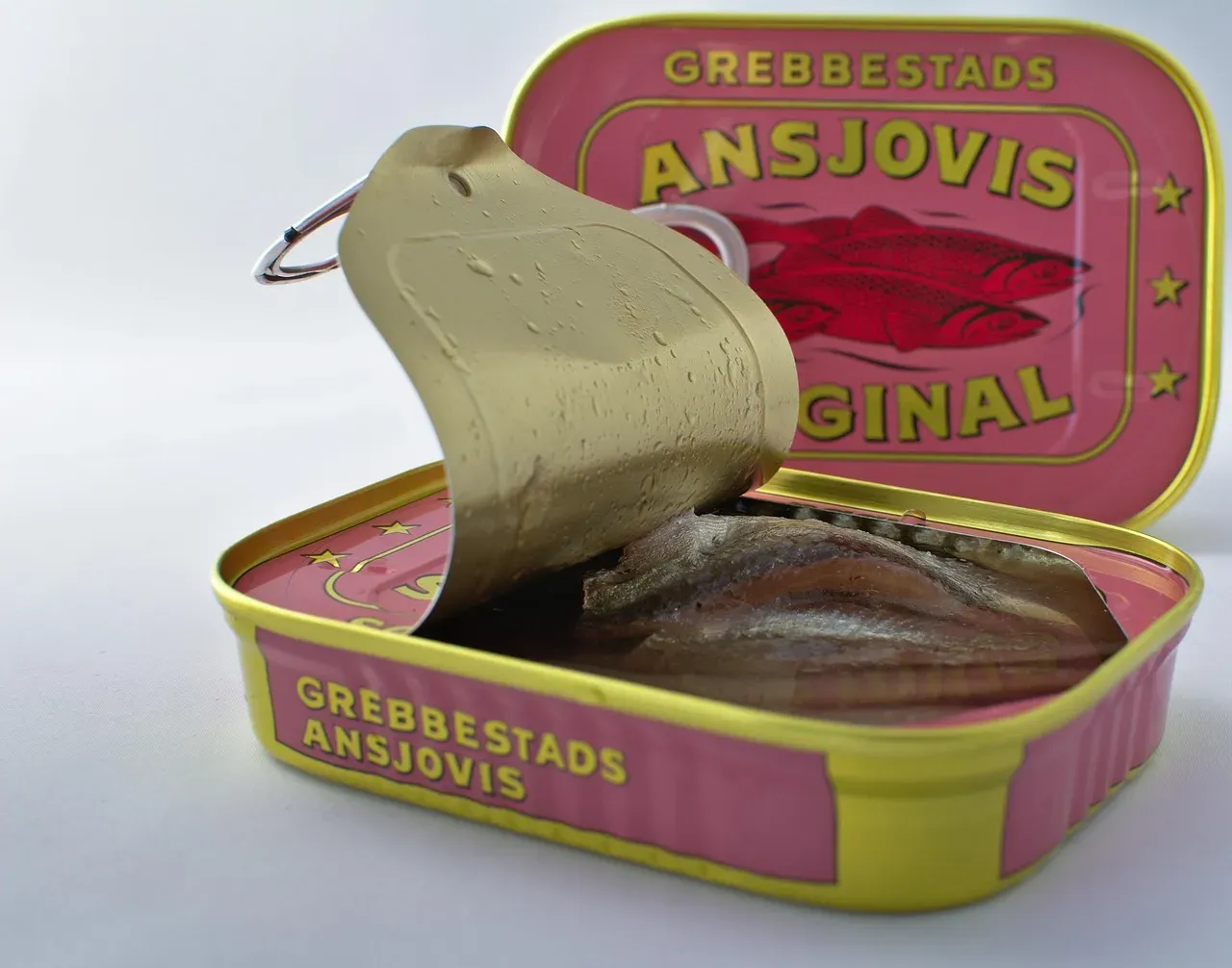 6. Canned Anchovies (Image Credits: Pixabay)