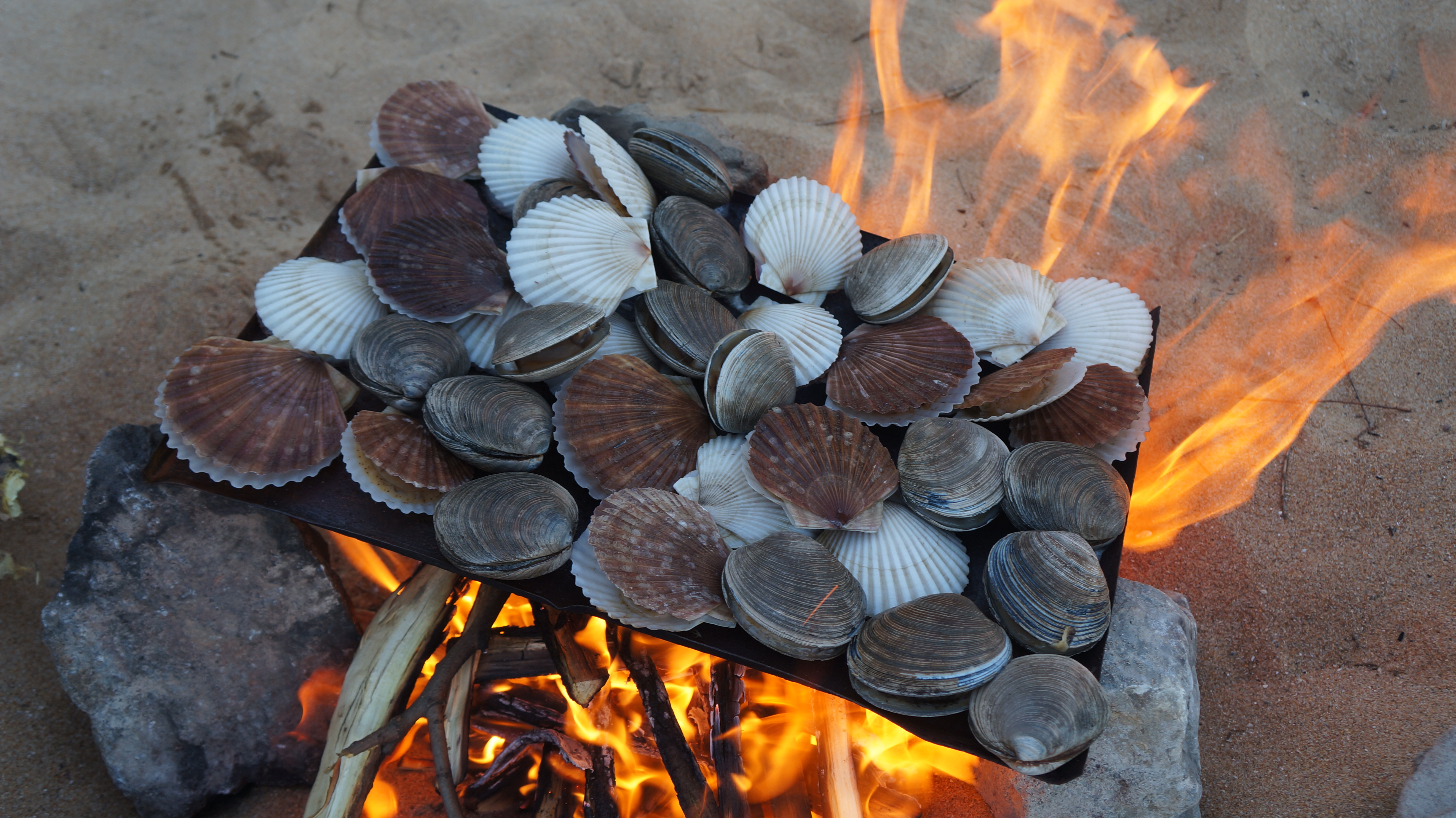 Conclusion: Celebrating New England's Culinary Heritage (image credits: wikimedia)