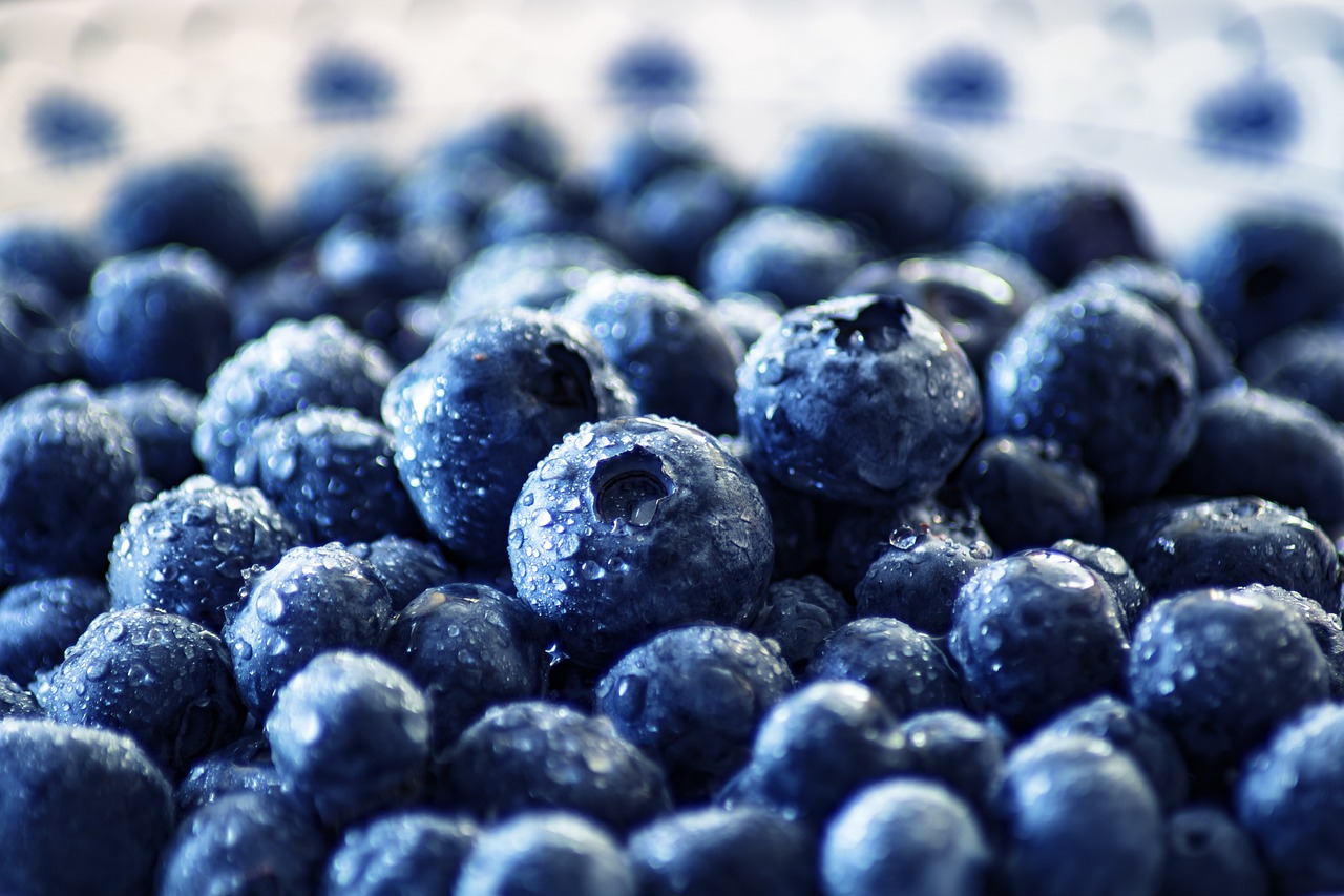 Blueberries: Antioxidant Brain Boost (image credits: pixabay)