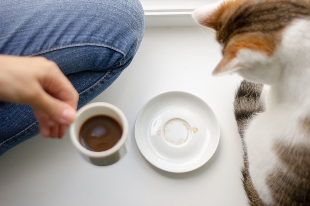 Caffeine - The Stimulant That Overstimulates (image credits: unsplash)