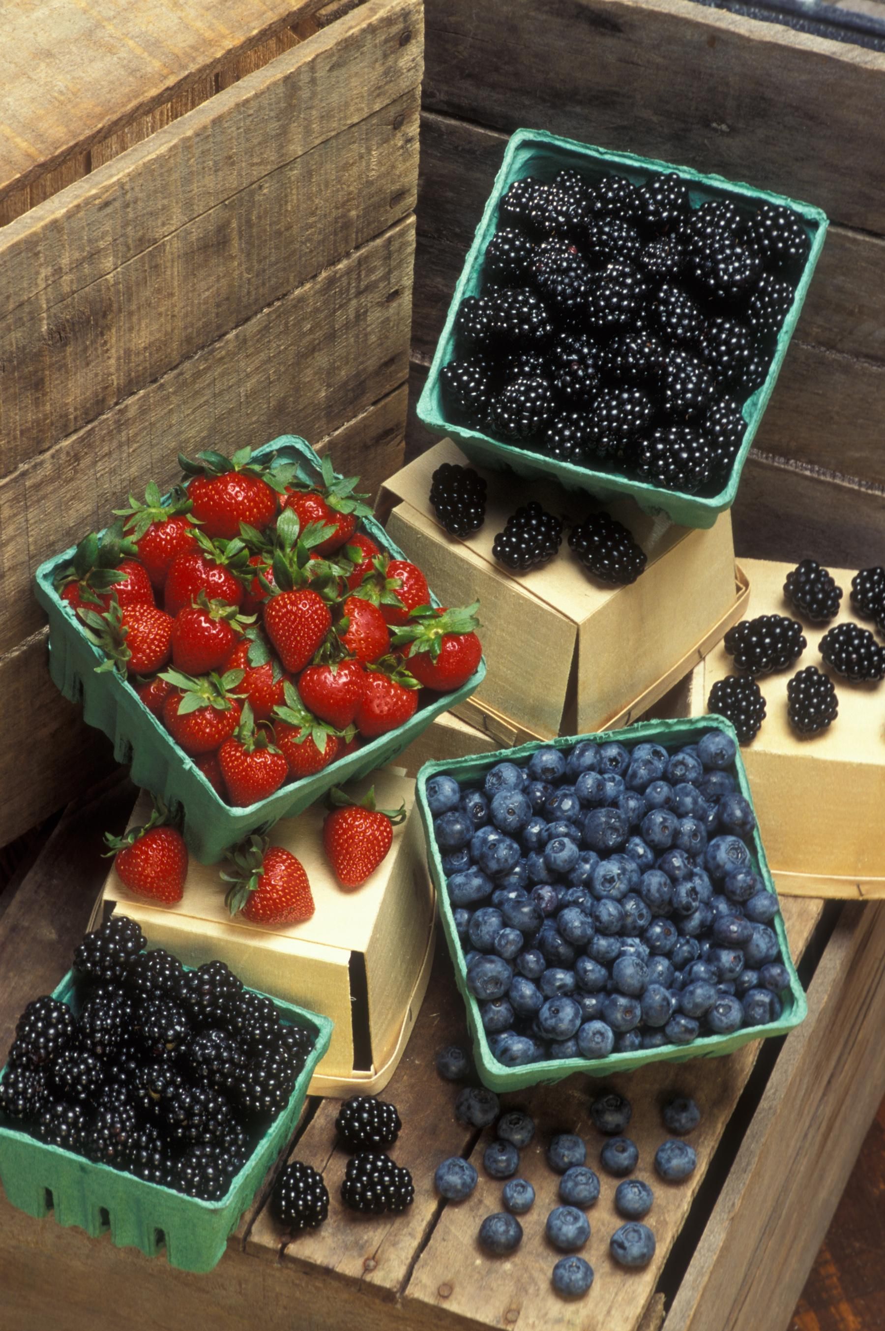 Berries: Sweet Antioxidant Shields (image credits: wikimedia)