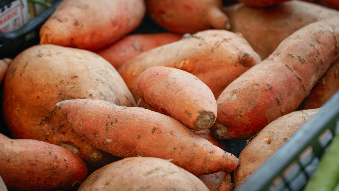 Sweet Potato (GI: 44 when boiled) (image credits: unsplash)